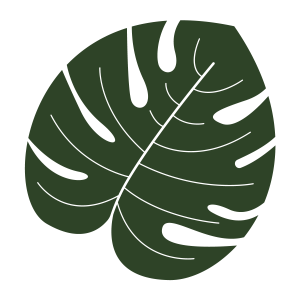 monstera sticker